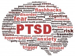 triggers of ptsd