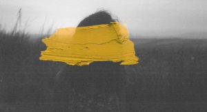 Stalking survivor trauma